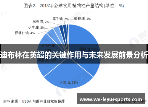 迪布林在英超的关键作用与未来发展前景分析