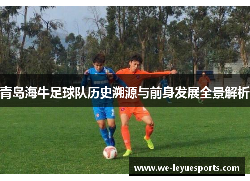 青岛海牛足球队历史溯源与前身发展全景解析